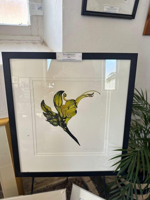 Depuis Adélaïde : visite des vignobles de Clare Valley