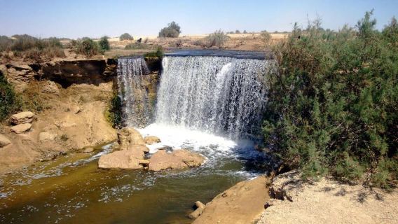 Desde El Cairo: excursión de un día completo a El Fayum