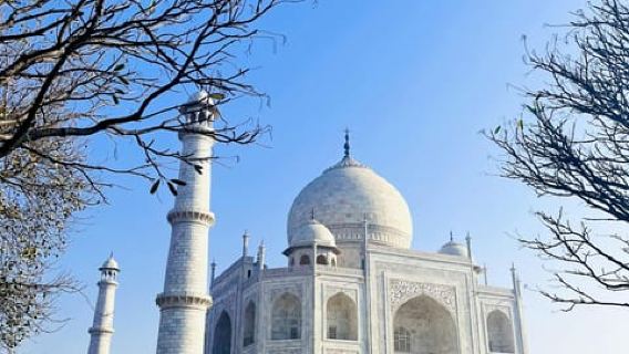 from Delhi Taj Mahal Sunrise Tour W SOS Elephant Conservati