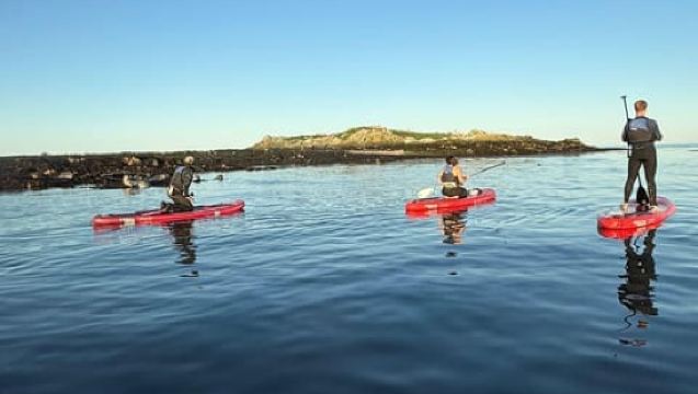 Howth: Paddleboarding Lesson in Howth Harbour