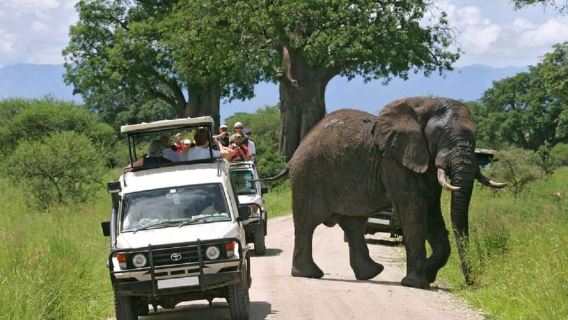 Nairobi: Lake Nakuru National Park