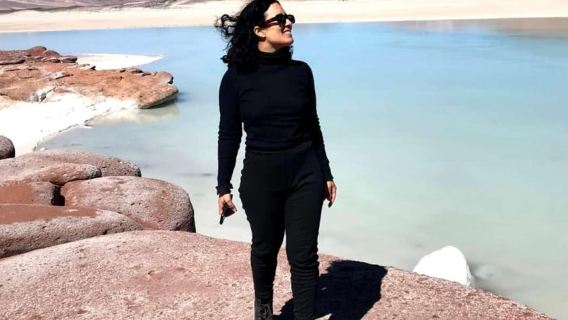 Piedras Rojas, Altiplanics Lagoons & Salar Full Day Tour