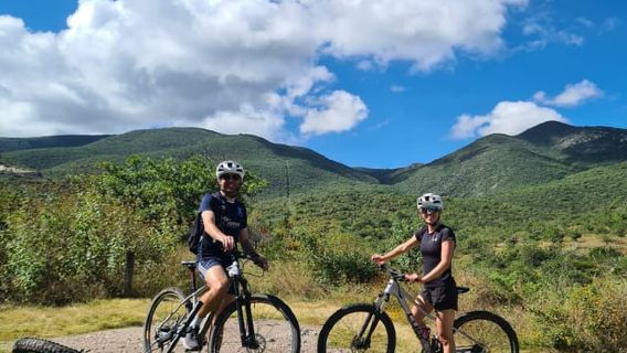 Tur Sepeda MTB: Pohon Tule melalui pedesaan