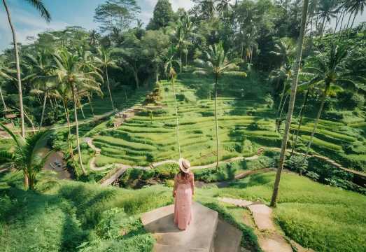Bali Temple Escape + Alas Rum Rice Terraces + Tirta Empul Temple + Ubud Palace + Lunch 1-day Tour