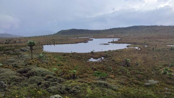 Aberdares: Geführte Wanderung zu den Seven Ponds mit Aussicht