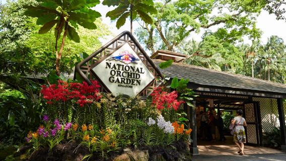Singapore: biglietti d'ingresso al National Orchid Garden