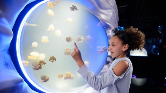 London: Eintritt Madame Tussauds, SEA LIFE und London Dungeon