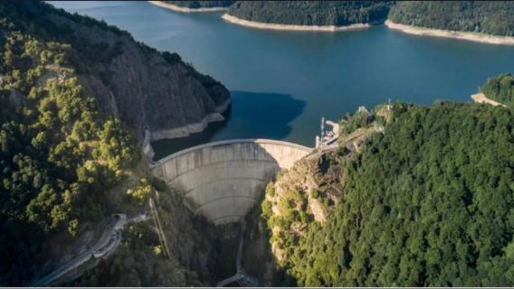 Depuis Bucarest : excursion d'observation des ours avec transport