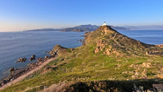 Sanguinaires Islands tour Capo di Feno