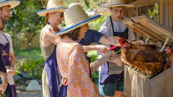 【官方】奶奶廚房(泰式料理烹飪廚藝學校)+酒店接送
