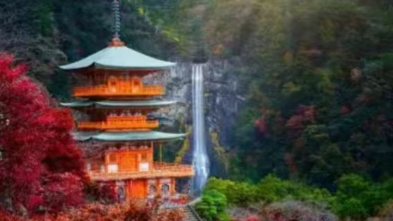 【楓葉季】和歌山+東大寺+奈良公園+黑潮市場包車1日遊