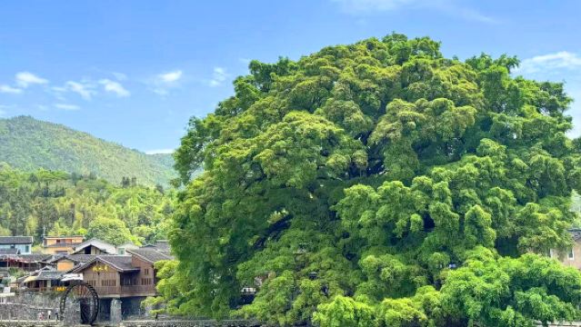 Lawatan sehari ke Bandar Lama Yunshuiyao Nanjing + Bangunan Tulo Tianluokeng "Empat Hidangan Satu Sup" [Pilihan kumpulan kecil 8 orang]