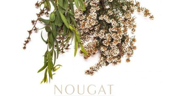 NOUGAT Dunji|Britische Marke|Vorbeugung und Reparatur von Haarausfall|Pflanzliche Haarfarben und -pflege|Rein und frei von Zusatzstoffen|Lassen Sie Ihr Haar 10 Jahre jünger aussehen