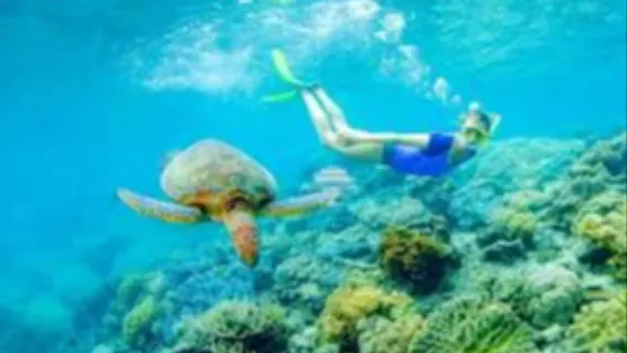 Muscat: Daymaniyat Islands Snorkeling Trip with Snacks