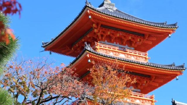 京都熱門景點包車遊|伏見稻荷/清水寺/花見小路/鴨川/三年坂