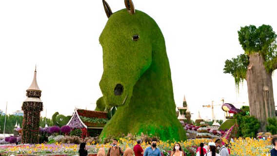 Dubai: biglietto d'ingresso per Miracle Garden con trasferimenti