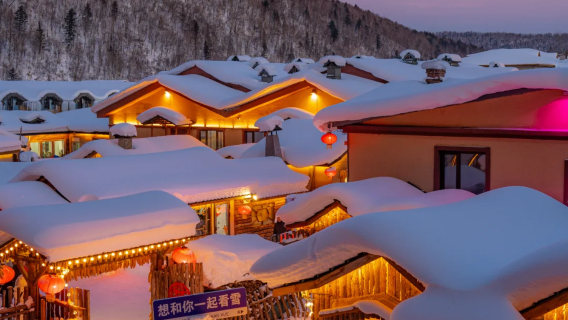 Excursión de un día a la Aldea de la Nieve de China en Harbin [Tour privado · Servicio de coche privado con conductor directo]