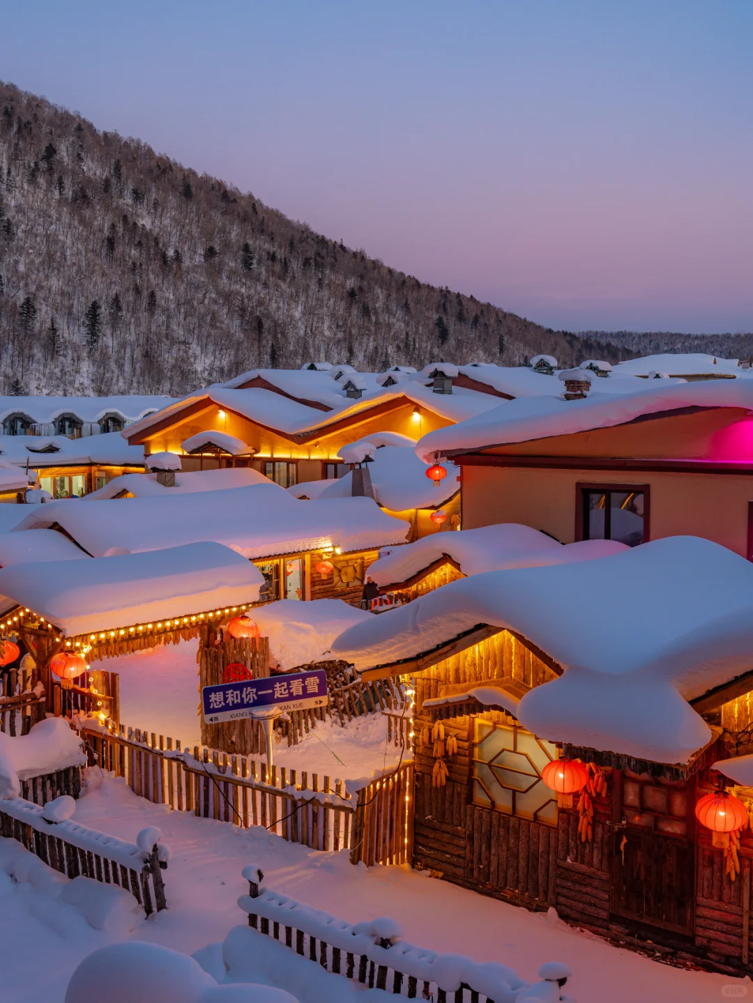 Tour di un giorno a Harbin e nel Villaggio della Neve Cinese [Tour privato con noleggio con conducente esclusivo diretto]