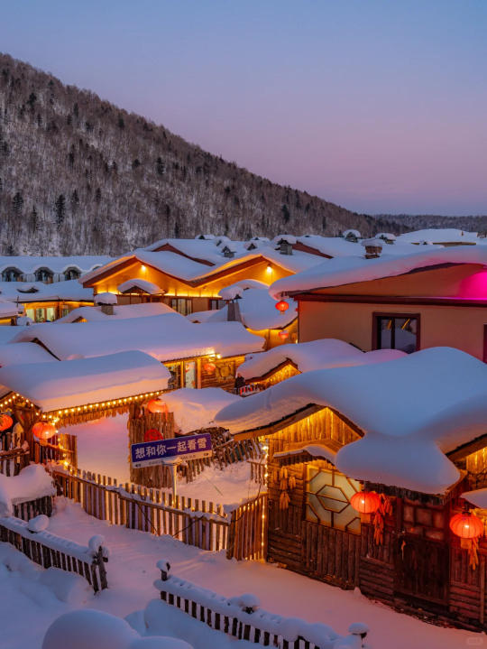 ハルビン・中国スノータウンワンデーツアー【プライベートツアー・貸切チャーター直行】