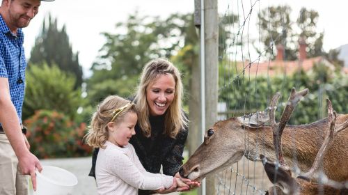 [Instant Confirmation] Queenstown TSS Earnslaw Cruise & Farm Tour with Optional BBQ Buffet Lunch/Dinner/Tea or Horse Riding Transport Passes