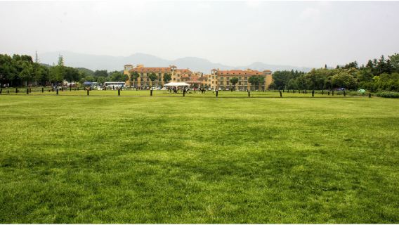 法國巴黎凡爾賽宮+楓丹白露宮+巴比松【中文司機包車遊】