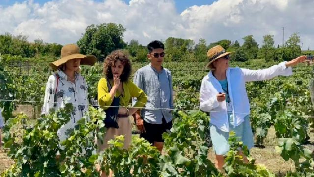 Penedès: Lawatan Berpandu Setengah Hari dari Barcelona + Sarapan Lewat + Mencicipi Wain