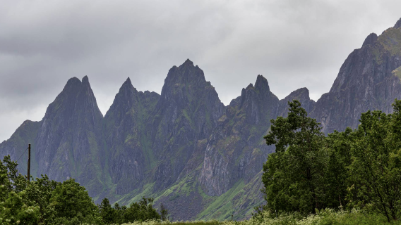 Norway Tromso Senja - Sommaroy Island [Private Car Service - Comfortable and Relaxing]