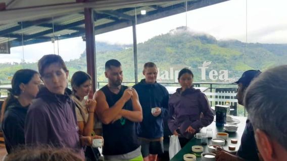 Von Mirissa / Galle / Bentota: Tagestour nach Ella und zurück