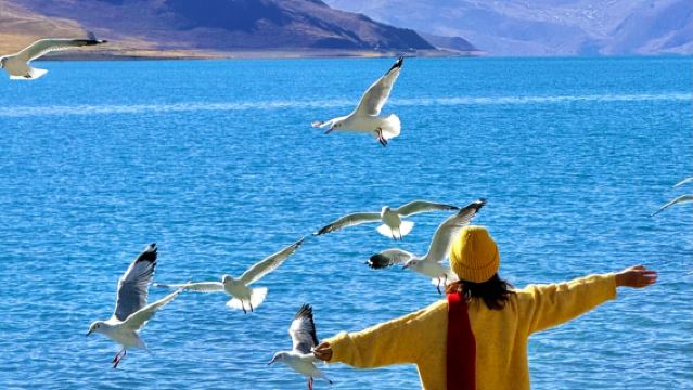 Lawatan Sehari ke Tasik Yamdrok dan Puma Yumco (Kumpulan Kecil 2-4 Orang + Termasuk Oksigen)