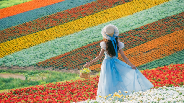Furano Patchwork Road, Farm Tomita, Panoramic Flower Gardens Shikisai-no-oka Summer Limited Flower Fields Day Tour in Hokkaido