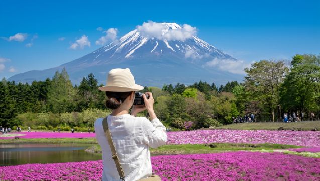 Εξαιρετική προσφορά για το Φεστιβάλ Σιμπάζακούρα του Φούτζι: Μικρή ομαδική εκδρομή μιας ημέρας στη Λίμνη Μότοσου, τη Λίμνη Καβαγκούτσι, τη Λίμνη Γιαμανάκα και τις Οκτώ Θάλασσες του Οσίνο
