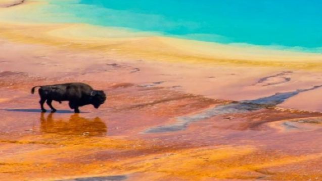 美國+鹽湖城+黃石國家公園一日遊/行程可調-可定制