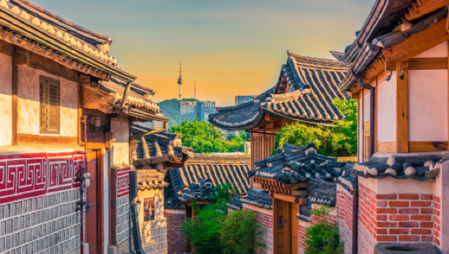 【濟州島全境·VIP私享團】中文地陪+專業翻譯 | 牛島/城山日出峰/漢拿山 | 旅遊陪同+商務接待