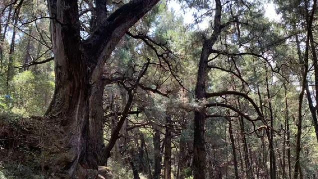 【玩轉蜀道】金牛古道徒步一日遊