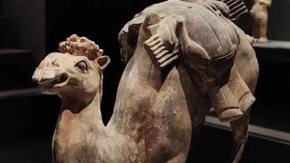 Private chartered tour to Xiangtang Mountain + Yecheng Archaeological Museum + Archaeological Museum of the Northern Dynasties