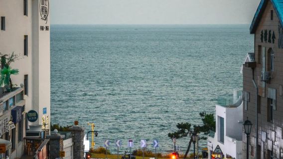 Lawatan Sewa Peribadi Jalan Obor 8 + Tarikan Pelancongan Pantai Naxiang + Kapal Kargo Blueways Terdampar [Bermula dari Weihai]
