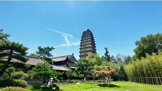 Lawatan setengah hari di Muzium Xi'an/termasuk tiket masuk/opsional kumpulan VIP 10 orang/termasuk Pagoda Kecil Angsa