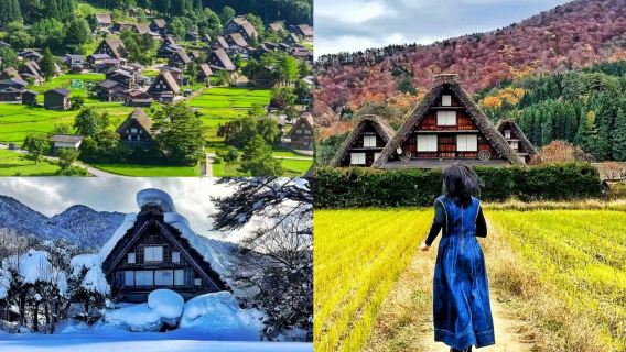 日本白川郷合掌造り集落ワンデーツアー｜展望台直行オプション＋飛騨高山古い町並み巡り