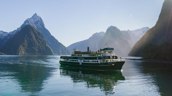 Milford Sound / Piopiotahi: wildlife and nature highlights cruise