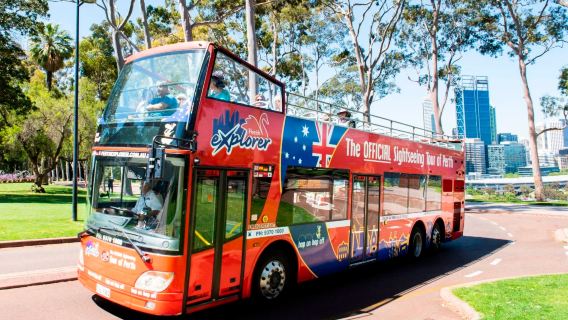 Bus à arrêts multiples à Perth | Option 24h/48h | Audioguide numérique | Découvrez les sites célèbres comme Elizabeth Quay, Bell Tower, Kings Park et bien plus !