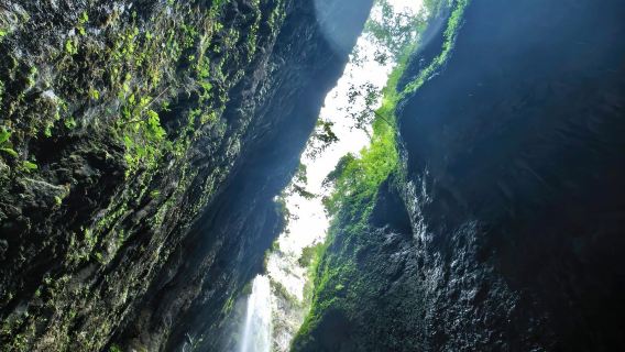 Tagesausflug in Chongqing Wulong zu den Naturbrücken und der Longshuixia-Schlucht mit chinesischem und englischem Service