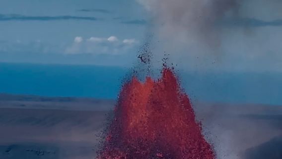 Pulau Besar Hawaii Amerika Kailua-Kona - Ladang Kopi + Pantai Pasir Hitam + Taman Gunung Berapi [Tidak Termasuk Tiket Tanpa Risau]