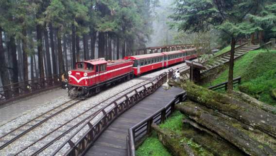 Alishan National Scenic Area admission ticket + Alishan Forest Railway (complimentary parking)