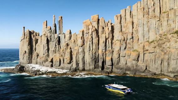 Tour 1 ngày Cảng Arthur Tasmania bao gồm tham quan Tasman|Dịch vụ trực tiếp từ Tasmania Đưa đón sân bay miễn phí