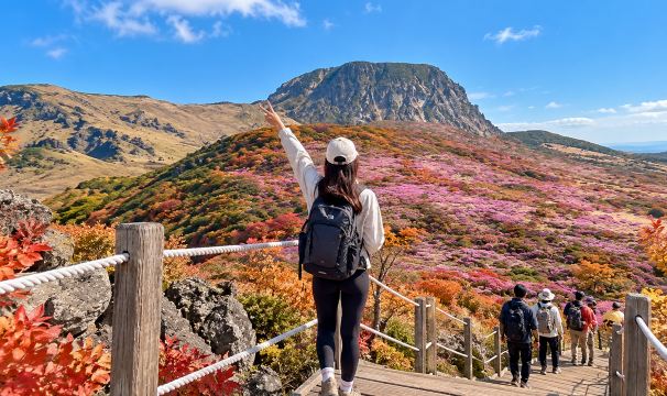 Jeju South UNESCO Sites Full-Day Tour Waterfall, Green Tea Field