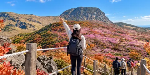 濟州島南部UNESCO世界遺產一日遊:瀑布、綠茶園、漢拏山遠足
