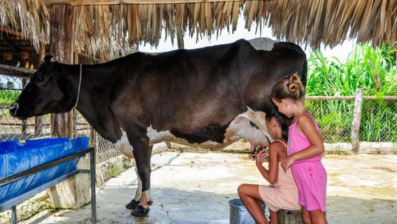 Punta Cana: Monkey Park, Farm & bad i cenote Full Combo
