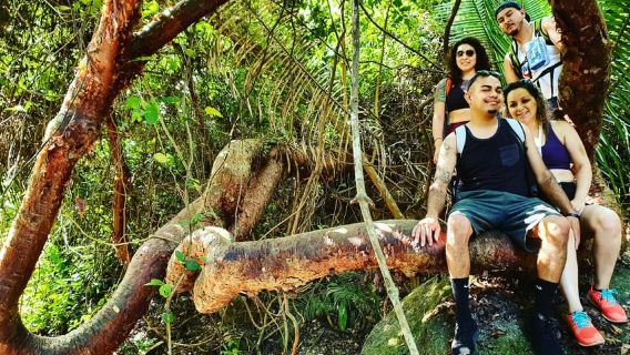 4-Hour Jungle Hike and Waterfall Swim with Nature Expert