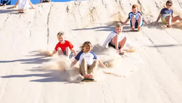 雪梨史蒂芬斯港一日遊普通話司導覽海豚滑沙看無額外費用