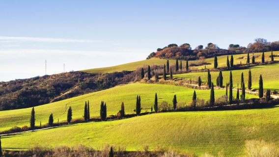 Val D'Orcia, Montepulciano y Pienza: excursión de un día desde Florencia